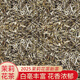 茶函茉莉花茶濃香茶葉2025新茶廣西特產(chǎn)花草茶大白毫袋裝耐泡禮盒 茉莉花茶500g