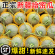 正宗新疆吐魯番哈密瓜10斤網(wǎng)紋瓜新鮮當(dāng)季水果甜瓜香瓜蜜瓜西州蜜 9斤