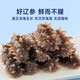 大連海參鮮活遼參海生刺參送禮母親節(jié)父親節(jié)送父母長輩滋補養(yǎng)生 海參【一盒6頭】 高刺參