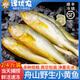 譯優(yōu)農順豐正宗舟山野生海捕小黃魚(yú)新鮮冷凍無(wú)冰衣小黃花魚(yú)東?？军S花魚(yú) 凈重1000g 野生小黃魚(yú)6條/斤【吃的滿(mǎn)足】