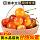 靜羽黃蜜櫻桃車(chē)厘子【順豐/JD空運】大連水晶黃櫻桃水果端午節禮盒裝 5斤(凈重)  精選A+級 單果22-26mm 人工采摘