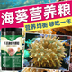 OIMG?？暳夏套焐汉鲗?zhuān)用糧顆粒營(yíng)養液大力丸紐扣小顆粒lps 混合粉末 一盒裝 130g超大容量【?？汉鳡I(yíng)養糧】