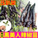 大菜鄉壽光黑美人辣椒苗秧四季高產(chǎn)紫妃紫螺絲椒黑辣椒種子陽(yáng)臺小院盆栽 黑美人辣椒苗5棵+送1棵+10g肥