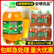 佰林熊星貝熊8度精釀啤酒1.5L桶裝扎啤整箱特價(jià)批發(fā)包郵新日期廠家直銷(xiāo) 全嘜優(yōu)品精釀啤酒1.5L*6桶