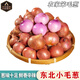 傾睦東北毛蔥頭 吉林特產(chǎn)干香笨毛蔥鬼子珠蔥小圓蔥紅蔥頭水果小洋蔥 3斤 中蔥【單蔥2-3cm】