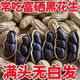 格沃斯富硒黑花生正品云南黑花生帶殼紫衣花生黑衣太平猴魁太平猴魁 帶殼富硒黑花生 出口品質生黑花生【4大罐】