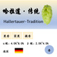 哈拉道傳統啤酒花顆粒Tradition精釀啤酒原料香花進(jìn)口通用酒花 Tradition傳統酒花500g