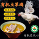有機蟲草母雞土公雞散養(yǎng)老母雞走地雞整只雞肉跑步雞煲湯 3年有機老母雞（3斤左右） *1只