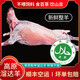 溜達羊新鮮高原草膘羊肉青海羊腿肉現殺羊排新鮮空運整只羊新鮮空運禮盒 18kg整只(誤差半斤左右介意勿拍)