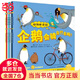 當當正版童書 動物妙想國 3-6歲動物趣味科普繪本 想象力睡前故事書 動物妙想國（第1輯）：全8冊
