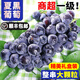 感光之水現(xiàn)摘云南夏黑葡萄 順豐禮盒裝新鮮無(wú)籽葡萄 當(dāng)季孕婦水果黑加侖 精選 5斤 禮盒串裝