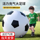 TaTanice充氣大足球戶(hù)外草坪沙灘玩具兒童足球巨型皮球幼兒園專(zhuān)用禮物 【加厚】60CM大足球【送充氣筒】
