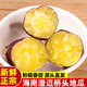 海島果甜【精選品質(zhì)】海南澄邁橋頭地瓜富硒板栗番薯粉糯香甜 3斤 （凈重） 圓果小果  單果50-100克