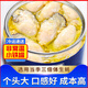 三倍體生蠔肉即食非罐頭生蠔肉麻辣小海鮮熟食罐裝非乳山e 【三倍體】麻辣生蠔2罐