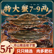 鮮活梭子蟹速凍大野生舟山大螃蟹新鮮冷凍海蟹紅膏白飛蟹海鮮水產(chǎn) 4-5兩/只【精品舟山梭子蟹5斤】
