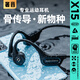 奢音（SHEYIN）【2025新款|防水防汗】X15真骨傳導(dǎo)耳機無線藍(lán)牙不入耳掛耳式開放式專業(yè)運動跑步騎行戶外超長待機 運動黑·IPX6運動防水 標(biāo)準(zhǔn)版【純藍(lán)牙模式】