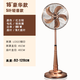 瑞斯安復古金屬落地扇家用立式懷舊仿古銅電風(fēng)扇搖頭客廳大風(fēng)力辦公室扇 16寸五葉紅古銅豪華款-輕音款