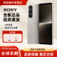 索尼（SONY）Xperia 1V 馬克五代 5G智能手機(jī) 4K 120Hz超清高刷屏 電影感影像專業(yè)拍照調(diào)校 超薄直屏 3.5耳機(jī)孔 霧銀 12GB+256GB 港版