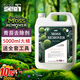 GOOD POINT青苔去除劑5L 水泥地面苔蘚水管藻類清除劑 瓷磚瓦清洗劑滅藻劑