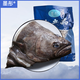 墨彤正宗格陵蘭鰈魚(yú)頭深海魚(yú)頭新鮮鰈魚(yú)冷凍庸鰈魚(yú)頭比目魚(yú)炭燒碟魚(yú)頭 少冰魚(yú)頭 200g -300g 三只裝