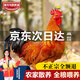 魯爺爺?shù)霓r(nóng)場 清真黃腳大公雞農(nóng)家散養(yǎng)土公雞大公雞土雞走地雞整雞雞肉生鮮 農(nóng)養(yǎng)大公雞1.6kg左右 送料包