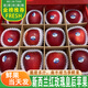 畝家田新西蘭紅玫瑰皇后蘋(píng)果甜脆Queen新鮮進(jìn)口紅蘋(píng)果水果整箱 12枚中果【單果170g+】