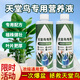 天堂鳥(niǎo)專(zhuān)用肥料黃葉卷邊裂開(kāi)營(yíng)養(yǎng)液葉子發(fā)黃家用室內(nèi)盆栽植物花肥 天堂鳥(niǎo)專(zhuān)用營(yíng)養(yǎng)液300g*1瓶
