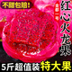 廣西紅心火龍果5斤新鮮當(dāng)季水果紅肉金都一號密寶果大果整箱批發(fā) 3斤大果【單果6-8兩】