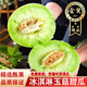 鯨蚨源正宗海南玉菇甜瓜 現摘新鮮水果冰淇淋蜜甜香瓜脆瓜應季年貨禮盒 凈重4.5-5斤 優(yōu)選果