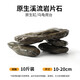 蕉京魚(yú)缸造景石原生溪流石主石大塊巖片石頭底砂天然原石專(zhuān)用龜缸躲避 10-20cm】5-10塊/溪流巖片石10斤 無(wú)規格