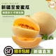 奇果出疆【順豐空運(yùn)】新疆直發(fā)哈密瓜西州蜜甜網(wǎng)紋瓜新鮮水果生鮮整箱批發(fā) 黃皮至愛哈密瓜2頭（凈重5-6斤）