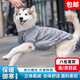茨格曼狗狗衣服冬季保暖中大型犬薄絨金毛薩摩耶拉布拉多邊牧加厚狗衣服 薄絨狗衣服 8XL【建議80斤內狗】
