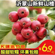 夢茜兒新鮮山楂果 5斤大金星大五棱山東山里紅歪把糖葫蘆材料紅果 3斤 新鮮山楂  酸甜軟糯 中果(40-55個左右/斤)