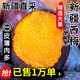 玖原農(nóng)珍 當季新鮮藍密西梅新疆優(yōu)選果含箱5斤凈重4.5斤單果40g+