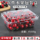 皓梵潔一次性水果盒打包盒塑料包裝帶蓋藍莓盒子透明保鮮盒食品級便攜 塑料打包盒有蓋 500g-20個