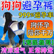 狗狗避孕褲母狗防交配神器狗發(fā)情褲防交配褲生理褲可排泄褲防騷擾 S-小型（腰圍24-32cm）
