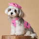 MIKI PAD狗狗衣服小型犬春秋狗狗背心冬季貓衣服比熊泰迪雪納瑞戶(hù)外可牽引 玫紅馬甲 XL胸圍45cm（參考體重9-11斤）