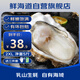 鮮海道 鮮活乳山生蠔2XL 凈重5斤 17-21只 生鮮海鮮貝類 源頭直發(fā)
