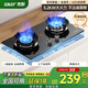 先科（SAST）燃氣灶天然氣 煤氣灶雙灶 定時(shí)家用嵌入式灶具 液化氣燃氣灶 鴛鴦灶 臺嵌兩用 猛火爐具 【九腔鴛鴦】防風(fēng)聚焰/熄保/童鎖（旗艦熱售） 天然氣