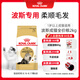 皇家貓糧 波斯成貓糧 P30 通用糧 12月以上 2KG