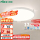 雷士（NVC）陽臺(tái)燈臥室吸頂燈書房現(xiàn)代簡約防蚊蟲led照明包安裝24瓦暖白光
