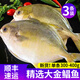 金鯧魚(yú)大鯧魚(yú)鮮活新鮮冷凍海魚(yú)金昌魚(yú)切段平魚(yú)銀魚(yú)白鯧鳊魚(yú)冰鮮 300g-400g/條*3條