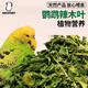 BIRDSTORY牡丹鸚鵡辣木葉種子糧飼料小太陽(yáng)虎皮玄鳳草籽鳥(niǎo)糧小零食用品大全 天然辣木葉【60g】
