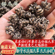 北京同仁堂野生貓爪草干貨水洗貓爪草貓瓜草貓爪茶夏枯草蒲公英 500貓爪草(約1厘米以上)
