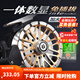 哈斯達（HISTAR）泰坦數顯筏輪磁力緩降橋釣筏竿海釣輪自動排線全金屬魚線輪筏釣輪 自動排線緩降數顯筏輪 右手搖輪右手輪