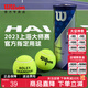 威爾勝（Wilson）官方上海大師賽法網(wǎng)美網(wǎng)專業(yè)比賽網(wǎng)球3粒裝初學(xué)專業(yè)競技球訓(xùn)練球 上海大師賽丨1筒3粒裝