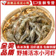 十里饞野外小河蝦鮮活淡水活蝦現(xiàn)凍小白蝦草蝦明蝦青蝦蝦米可食用南漪湖 500g 1斤(凈重)  凈重 2-3cm 野捕小河蝦