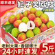 綠盛島海南荔枝【JD/順豐】妃子笑荔枝新鮮當(dāng)季現(xiàn)摘孕婦水果禮盒 3斤妃子笑（凈重2.6+）單果20g+
