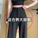 FitonTon西裝褲女2025春秋新款高級(jí)感西褲顯高顯瘦拖地黑色闊腿褲子女