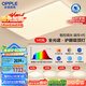 歐普（OPPLE）全光譜護(hù)眼吸頂燈客廳燈智能LED照明燈具簡約包安裝套餐1 凝月4